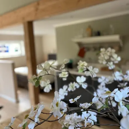 Aan De Dijk Guest house