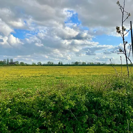 Aan De Dijk Zevenaar