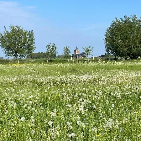 Aan De Dijk