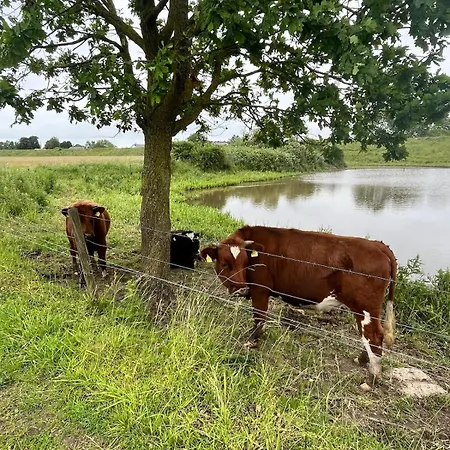 Aan De Dijk 3*